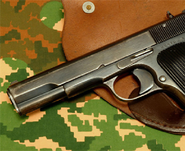 Từ 01/07/2018, Cơ quan điều tra Viện KSND tối cao được trang bị vũ khí quân dụng