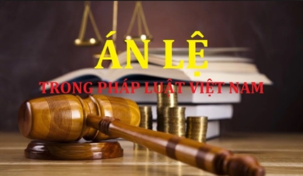 Kỹ năng áp dụng án lệ trong việc giải quyết án hành chính, án dân sự và...