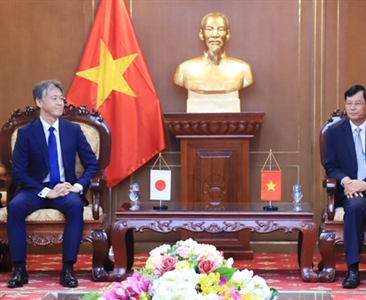 Lãnh đạo Viện KSND tối cao tiếp Đoàn đại biểu Bộ Tư pháp Nhật Bản