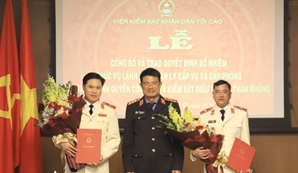 Lễ công bố, trao Quyết định bổ nhiệm Lãnh đạo cấp Vụ, cấp phòng của các...