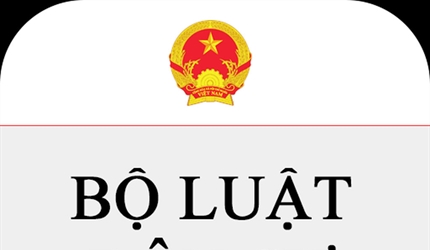 Những người thừa kế không phụ thuộc vào nội dung di chúc theo Bộ luật...