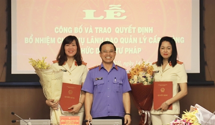 Trao quyết định bổ nhiệm lãnh đạo cấp phòng và các chức danh tư pháp Vụ...
