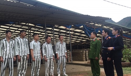 Một số giải pháp nâng cao chất lượng các cuộc trực tiếp kiểm sát thường...