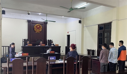 Các phiên tòa xét xử rút kinh nghiệm về hình sự trong tháng 3/2021