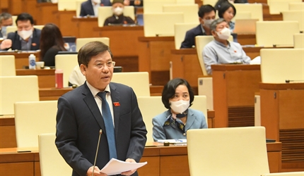 Viện trưởng VKSND tối cao giải trình, làm rõ một số vấn đề về dự án...