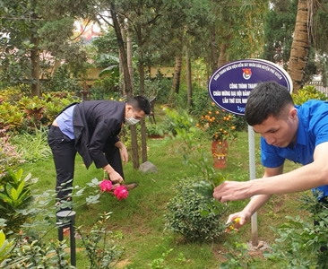 Chi đoàn Viện KSND huyện Phú Xuyên hưởng ứng phong trào "Tết trồng cây đời...