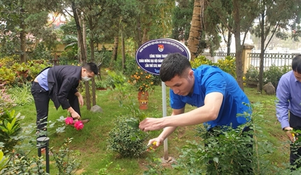 Chi đoàn Viện KSND huyện Phú Xuyên hưởng ứng phong trào "Tết trồng cây...