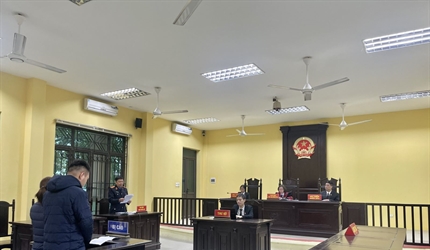 Viện KSND quận Long Biên phối hợp với Tòa án nhân dân quận xét xử vụ án...