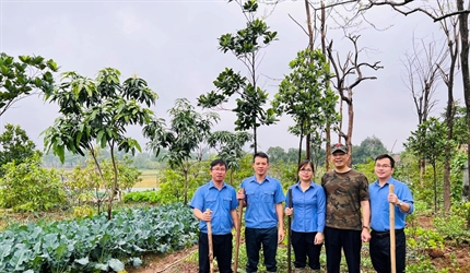 Đoàn thanh niên Viện KSND huyện Đông Anh sôi nổi trồng cây đầu năm xuân...