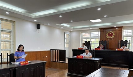Viện KSND quận Hoàng Mai tích cực thực hiện chỉ tiêu công tác nghiệp vụ...