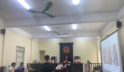 Viện KSND huyện Ba Vì ứng dụng số hóa hồ sơ và công bố tài liệu, chứng...
