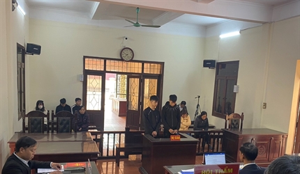 Kiểm sát viên Viện KSND huyện Phúc Thọ kiểm sát xét xử phiên toà mua...