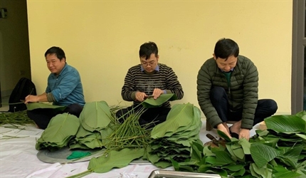 Viện KSND huyện Gia Lâm tổ chức gói bánh chưng chuẩn bị tết nguyên đán...