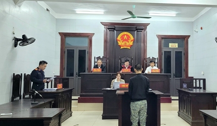 Viện KSND huyện Phú Xuyên và các quận Nam Từ Liêm, Tây Hồ phối hợp với...