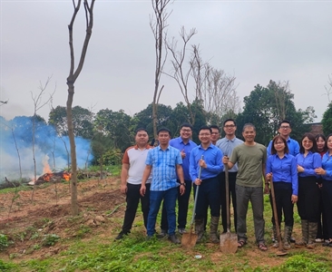 Viện KSND huyện Đông Anh chủ động, tích cực tham gia Tết trồng cây Xuân Giáp...
