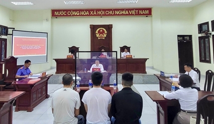 Viện KSND quận Cầu Giấy phối hợp với Tòa án cùng cấp tổ chức phiên tòa...