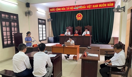 Viện KSND huyện Đan Phượng phối hợp với Tòa án nhân dân cùng cấp tổ...