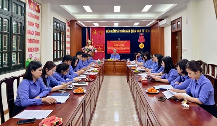 Chi bộ Viện KSND quận Nam Từ Liêm, Viện KSND huyện Sóc Sơn và Đan...