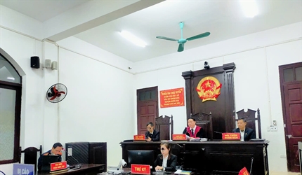 Viện KSND huyện Ba Vì phối hợp với Toà án nhân dân huyện Ba Vì tổ chức...