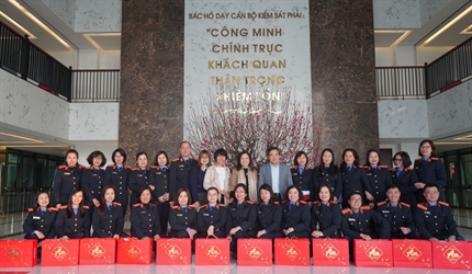 Công đoàn Viên chức thành phố Hà Nội thăm, chúc Tết và tặng quà đoàn...