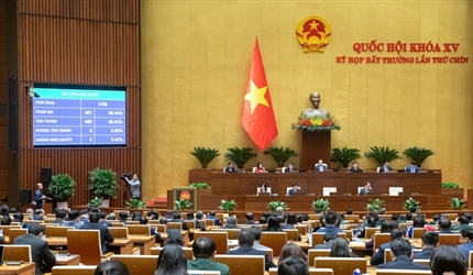 Quốc hội biểu quyết thông qua Luật Ban hành văn bản quy phạm pháp luật...