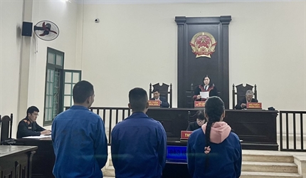 Viện KSND quận Nam Từ Liêm  tăng cường công tác tự đào tạo qua các...