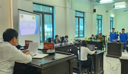 Viện KSND huyện Sóc Sơn tích cực thực hiện chỉ tiêu công tác Lãnh đạo...