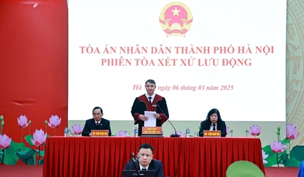 Viện KSND thành phố Hà Nội (Phòng 3) phối hợp cùng TAND thành phố Hà...
