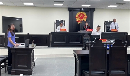 Viện KSND huyện Gia Lâm tích cực phối hợp với TAND huyện Gia Lâm tổ...