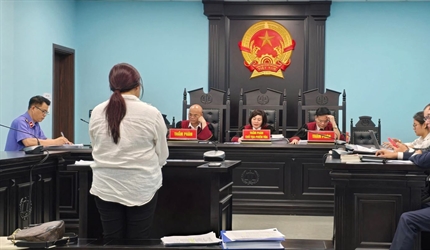 Viện KSND thành phố Hà Nội phối hợp tổ chức phiên tòa hình sự rút kinh...