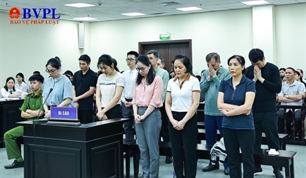 Giám đốc Công ty vàng Phú Cường bị tuyên phạt 14 năm 6 tháng tù