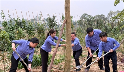 Đoàn Thanh niên Viện KSND huyện Đông Anh sôi nổi trồng cây đầu xuân Ất...