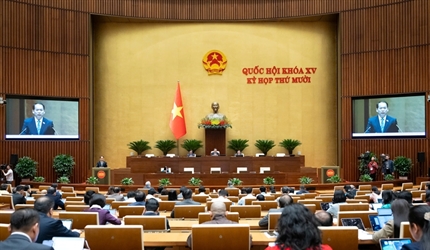 Đề xuất VKSND tối cao là Cơ quan trung ương của Việt Nam trong tương...