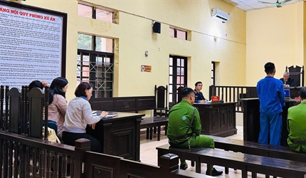 Viện KSND khu vực 8 – Hà Nội: Phối hợp tổ chức phiên tòa rút kinh...