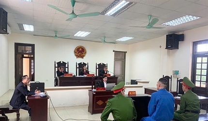 Viện KSND khu vực 9 tổ chức phiên tòa rút kinh nghiệm vụ án hủy hoại...