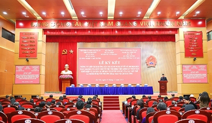 Kế hoạch triển khai thi hành Nghị quyết số 205 của Quốc hội trong ngành...