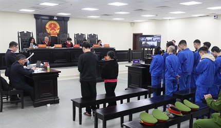 Xét xử trực tuyến rút kinh nghiệm vụ mua bán gần 500kg cần sa xuyên...