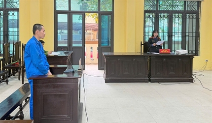 Viện KSND khu vực 5 – Hà Nội Tăng cường xét xử các vụ án sản xuất, buôn...