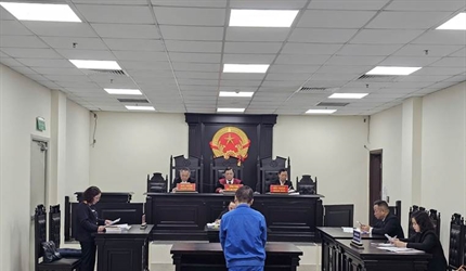 Viện KSND thành phố Hà Nội phối hợp với Tòa án cùng cấp tổ chức 02...