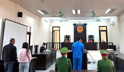 Viện KSND khu vực 9 - Hà Nội phối hợp cùng Tòa án cùng cấp xét xử vụ án...