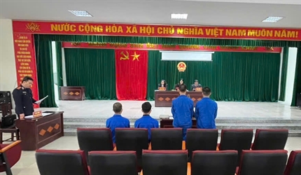 Viện KSND khu vực 5 – Hà Nội quyết liệt xử lý án pháo nổ, bảo vệ bình...