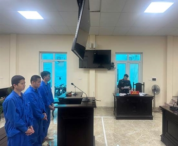 Viện KSND khu vực 12 tăng cường đấu tranh với tội phạm sản xuất, buôn bán,...