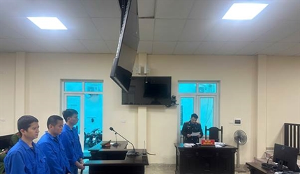 Viện KSND khu vực 12 tăng cường đấu tranh với tội phạm sản xuất, buôn...