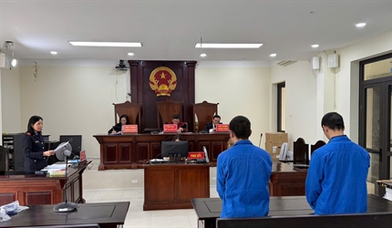 Viện KSND khu vực 7 – Hà Nội tăng cường phối hợp điều tra, xét xử các...