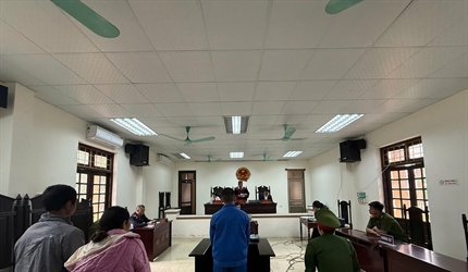 Viện KSND khu vực 9 - Hà Nội phối hợp với Tòa án cùng cấp tổ chức xét...