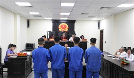 Xét xử nhóm lừa đảo tại “Tam Thái Tử”: Chiếm đoạt hơn 19,4 tỉ đồng, 4...