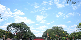 Viện KSND khu vực 1 - Hà Nội tổ chức hoạt động về nguồn, trải...