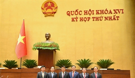 Viện trưởng Nguyễn Huy Tiến và các đại biểu đang công tác trong ngành...