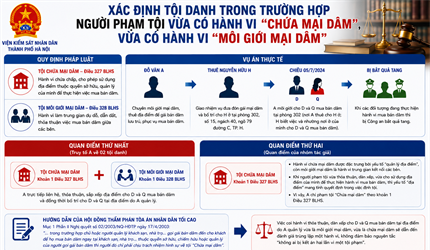 Bàn về việc xác định tội danh trong trường hợp người phạm tội vừa có...