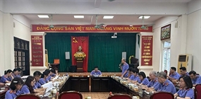 Viện KSND tối cao khảo sát công tác triển khai tố tụng công...